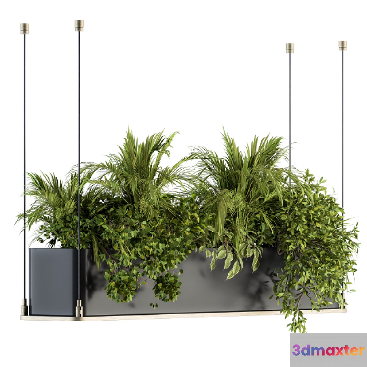 indoor Plant Set 218 - Hanging Plants 3D Max