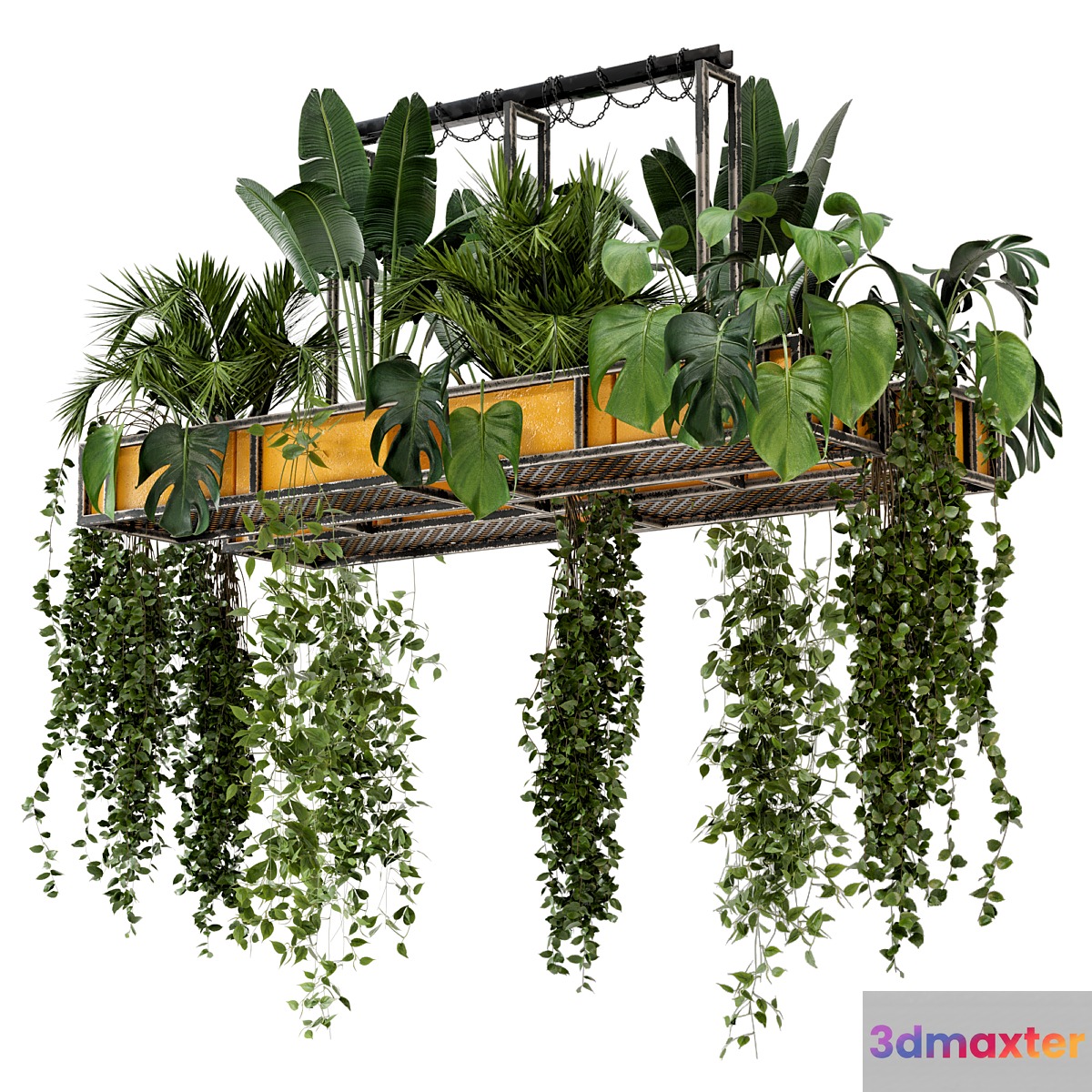 Indoor Hanging Plants in Metal Box - Set 146 - No.2