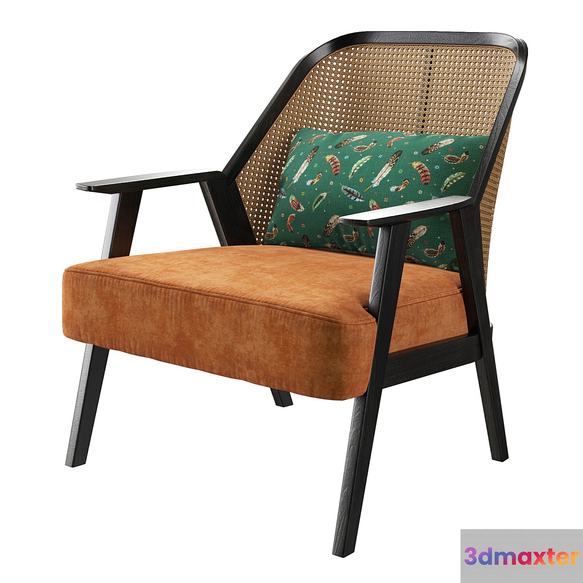 Roche bobois weg armchair