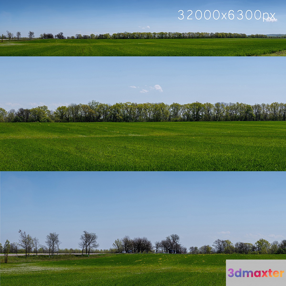 Panorama of a green field with flowers and trees. 32k - No.2