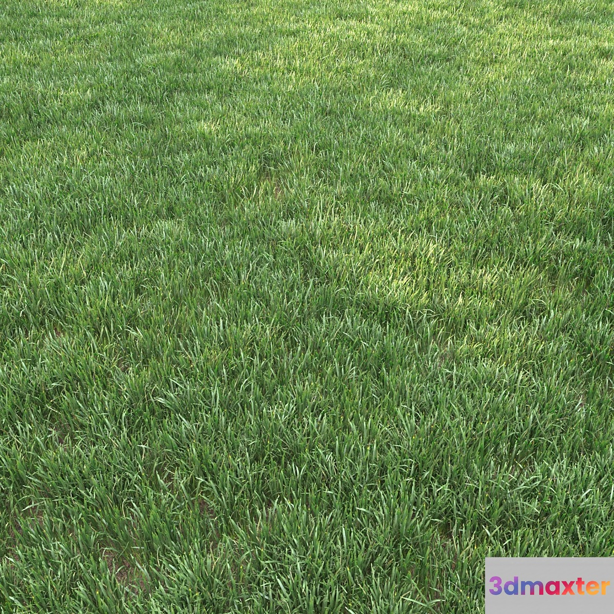 grass for landscape 12 3D Max
