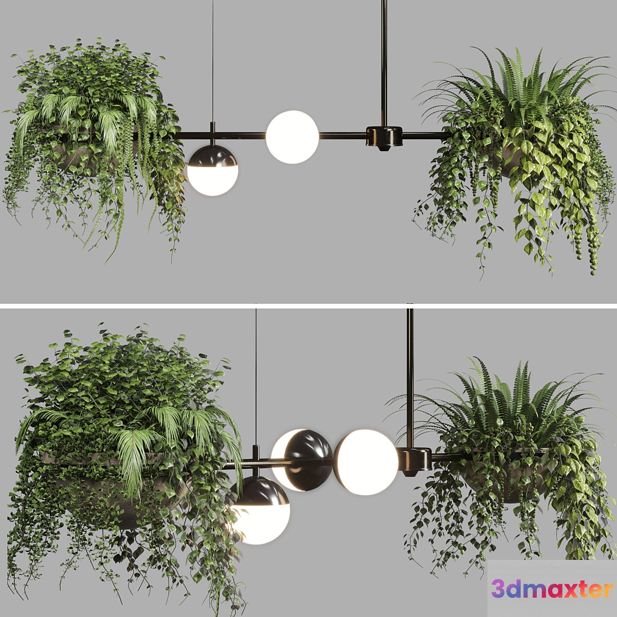 pendant light Indoor & outdoor plants hanging pot 3D Max