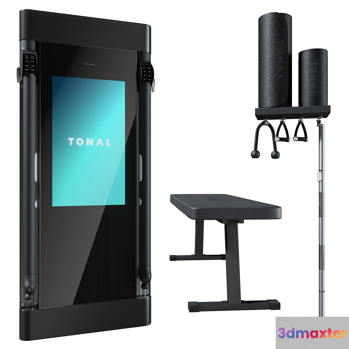 TONAL GYM 3D Max