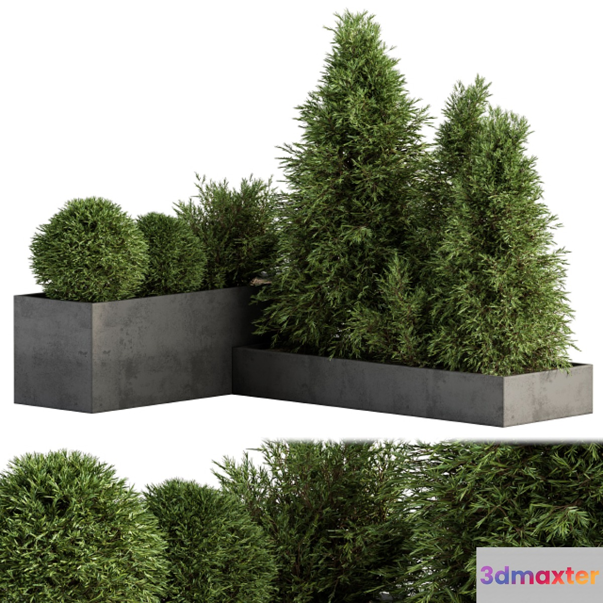 Outdoor Plant Set 231 - Plant Box with Tree 3D Max