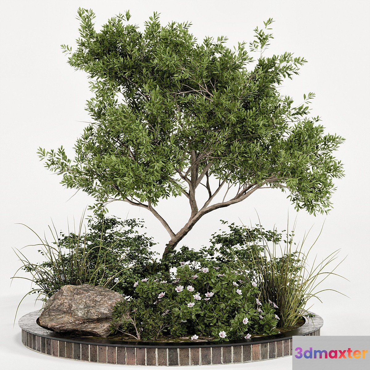 Garden plant set 05 3D Max