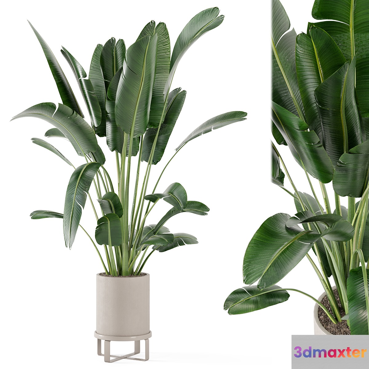 Indoor Plants in Ferm Living Bau Pot Large - Set 173 - No.2