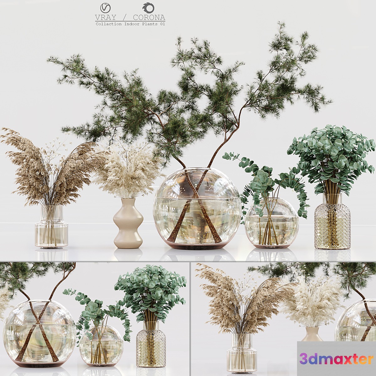 Collection Indoor Plants 01