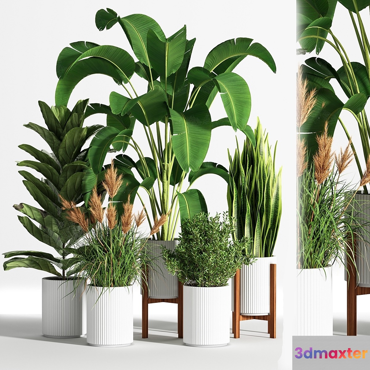 IndoorSetPlant05