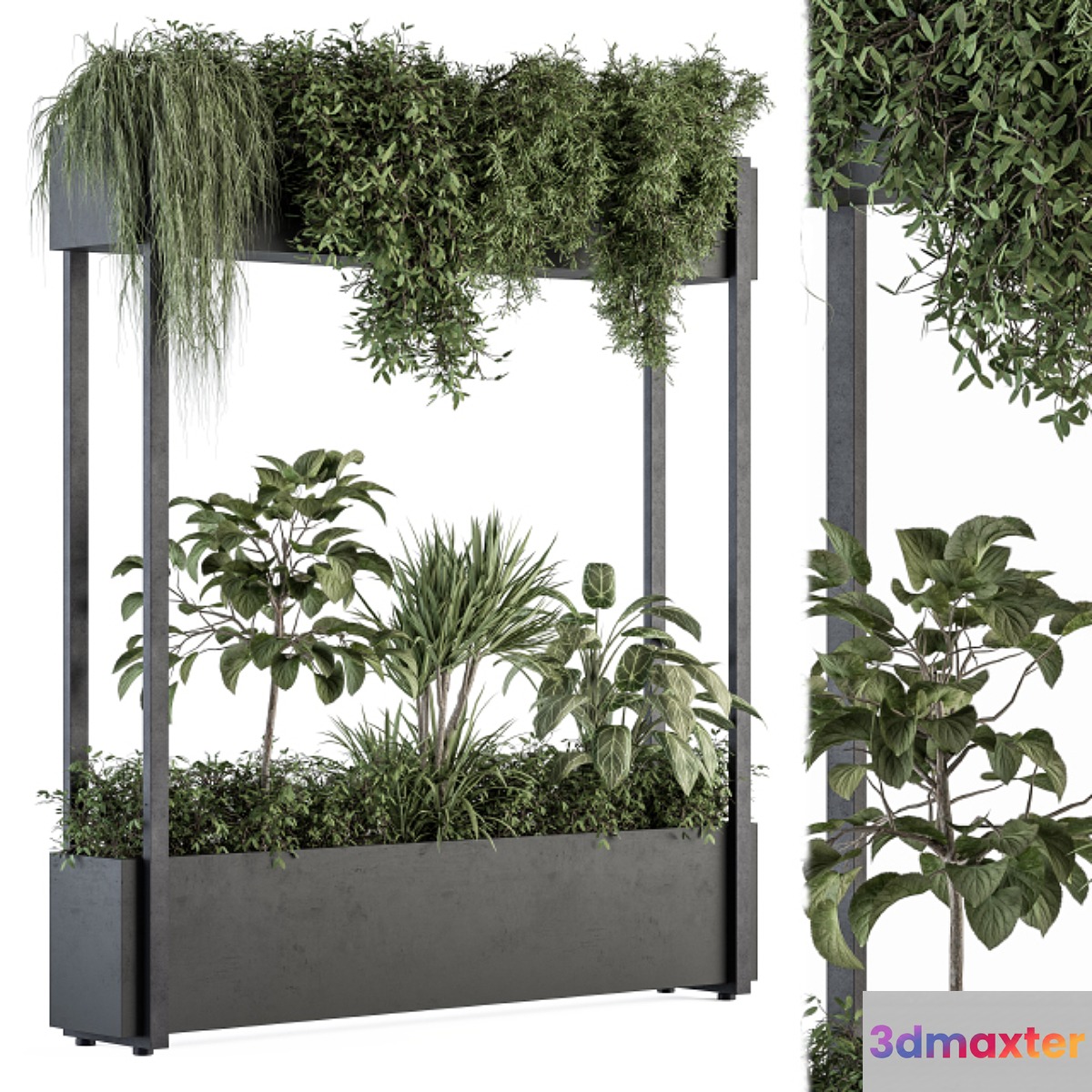 indoor Plant Set 258 - Plant Box Stand