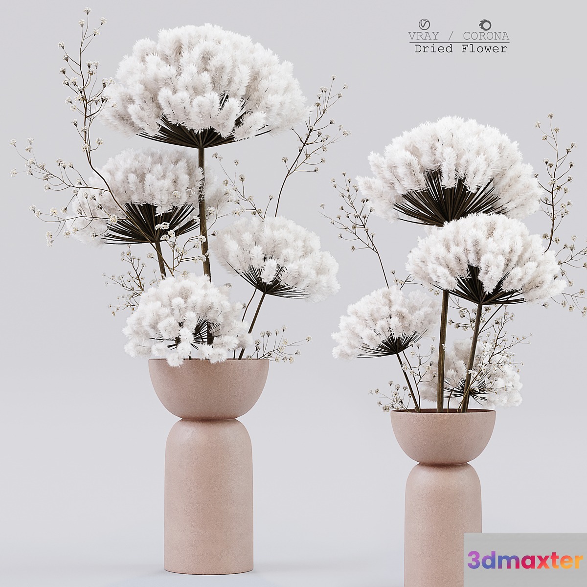 Dried Flower - No.4