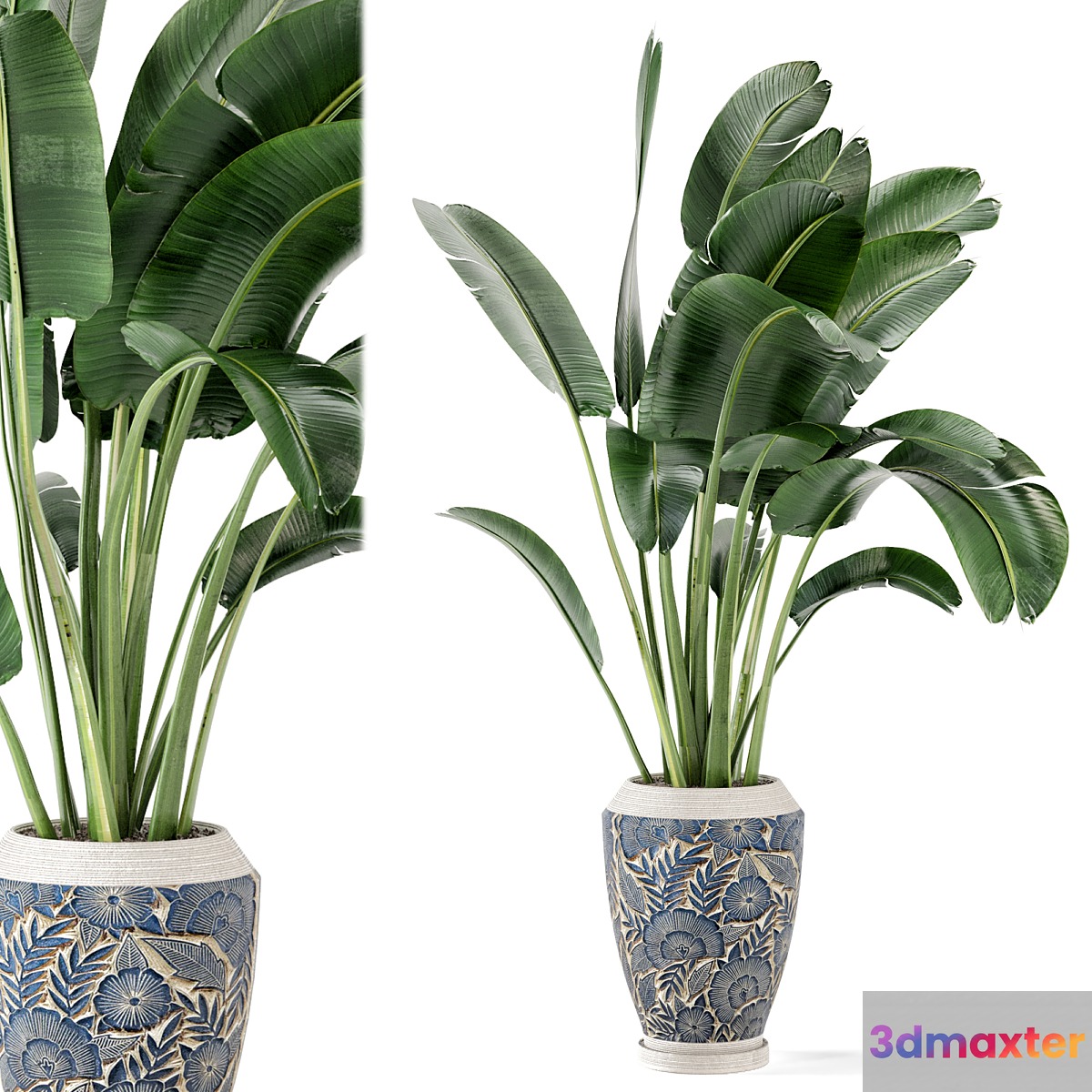 Indoor Plants in rusty Concrete Pot - Set 184 - No.2