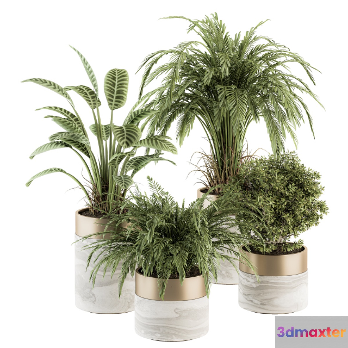 indoor Plant Set 245 - Plant Set in pot