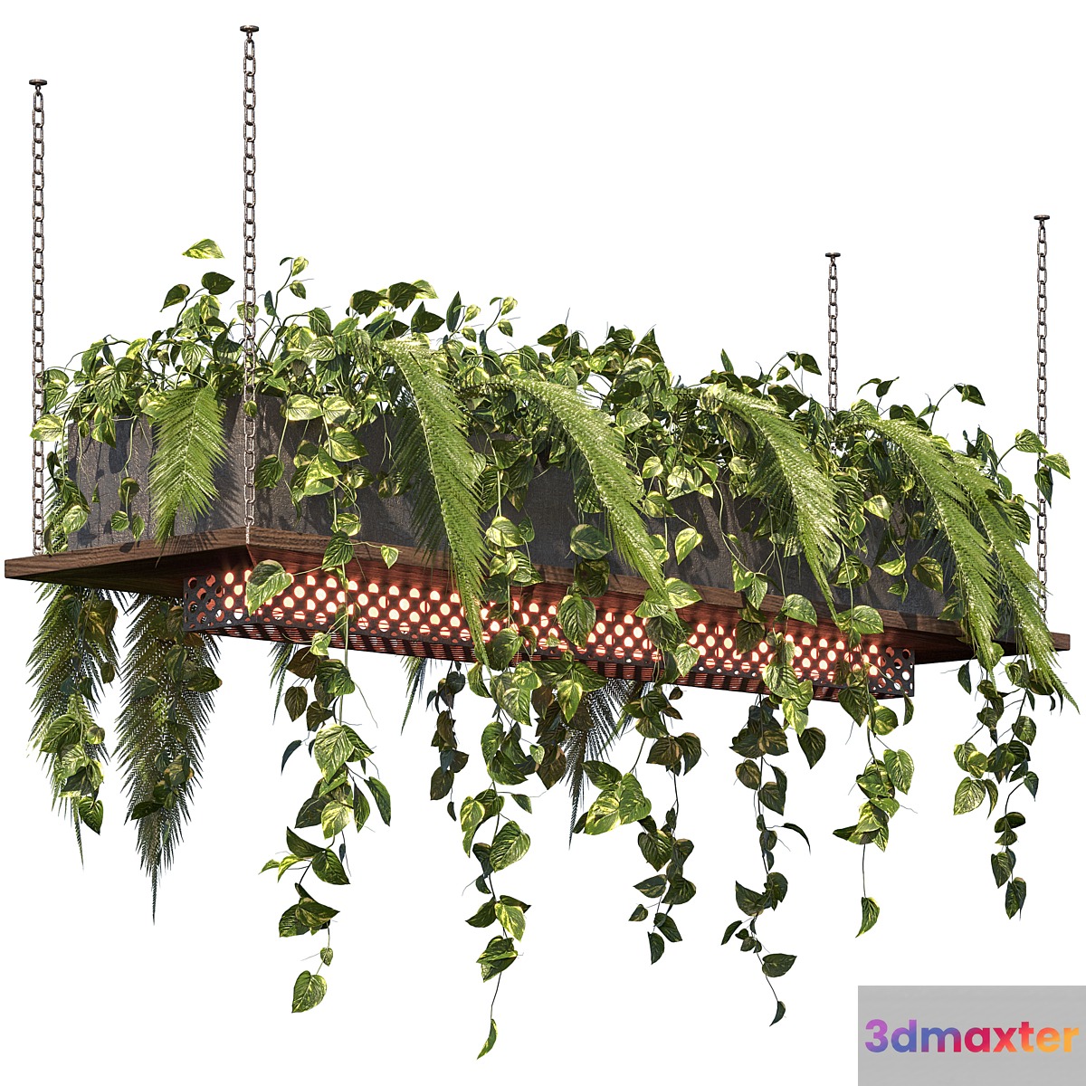 Indoor Plant Vol3 - hanging pot Vol3 3D Max