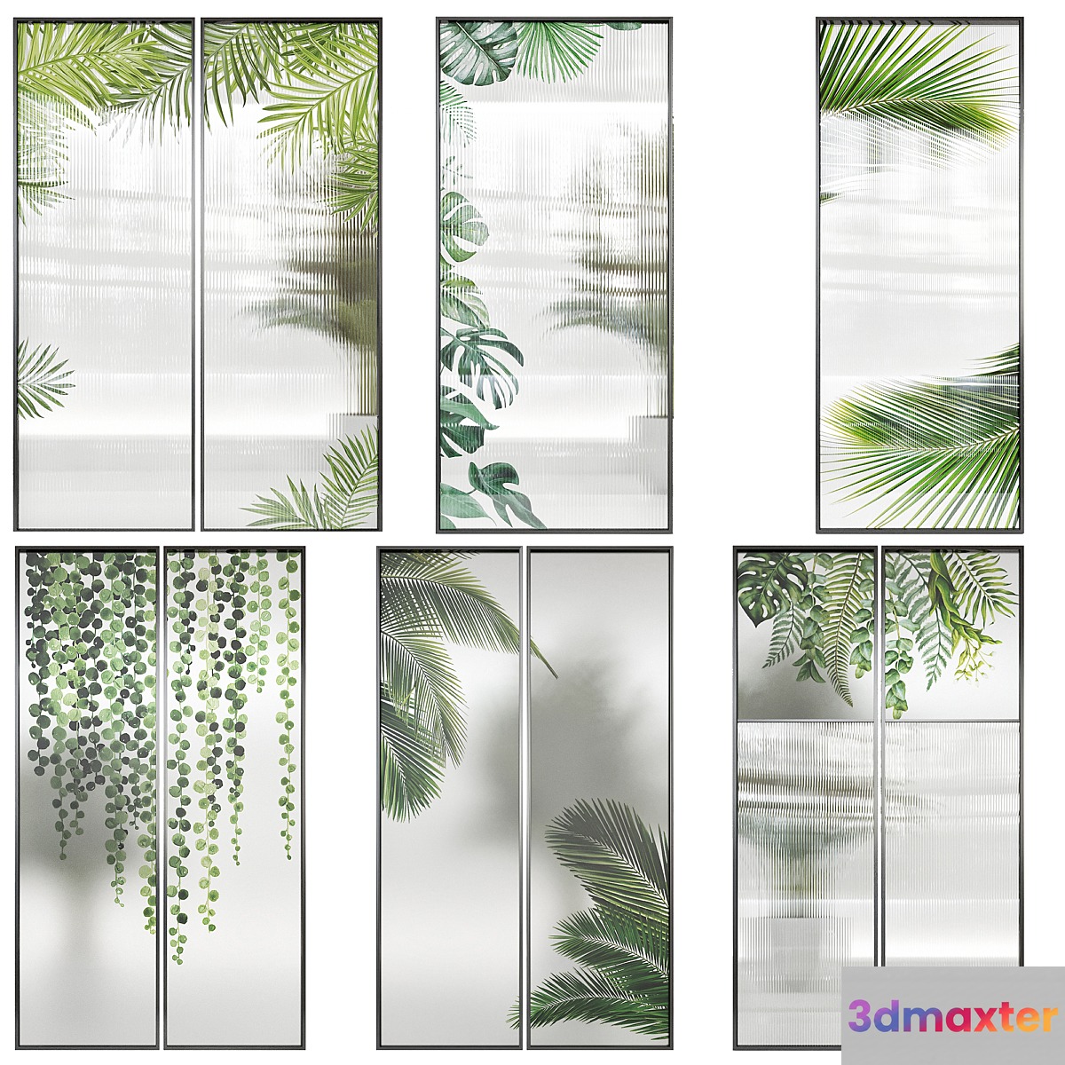 Phyto Glass Partition