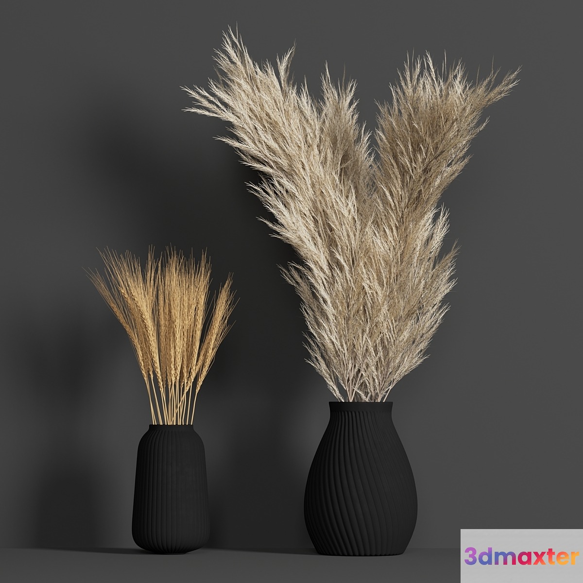 Dried Wheat and Pampas grass set