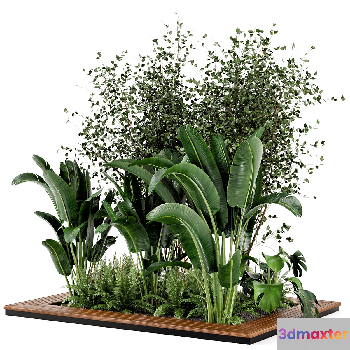 Outdoor Garden set bush and Tree - Garden Set 188