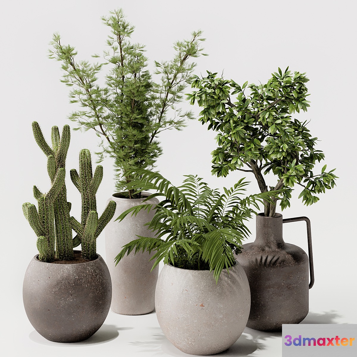 Indoor plant 03 - No.2