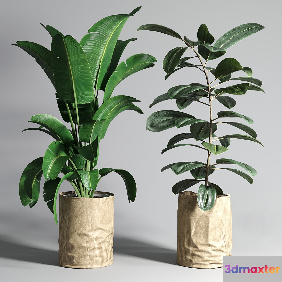 collection Indoor plant 88 paper vase envelope vase pot palnt