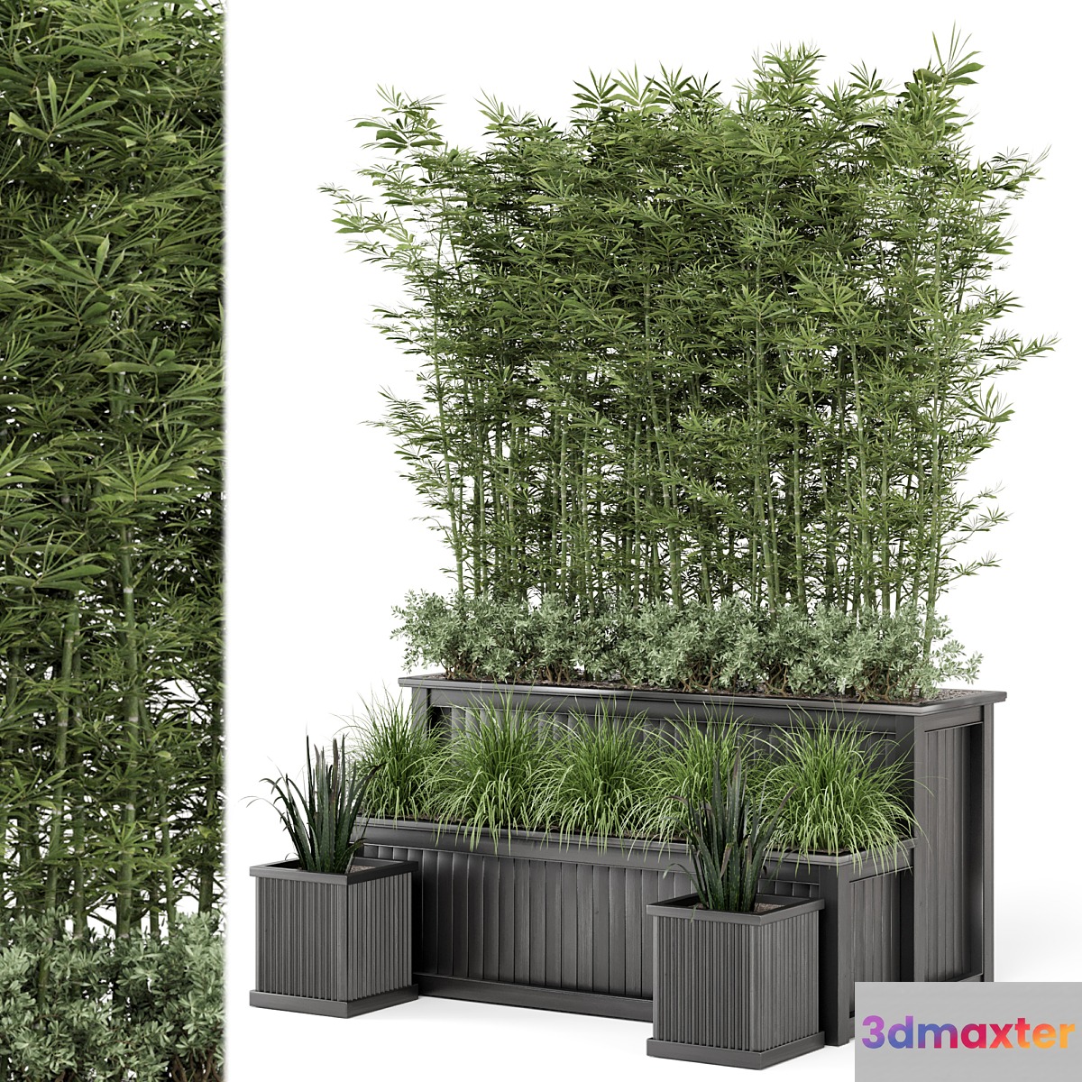Outdoor Plants Bamboo and bush in Wooden Pot -Set 195