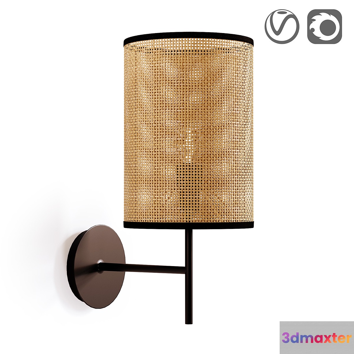 Metal and braided wall lamp Cara 3D Max