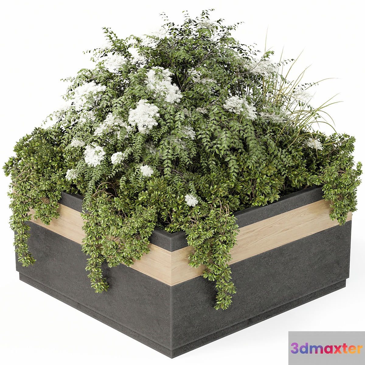 Outdoor Plant Set 02