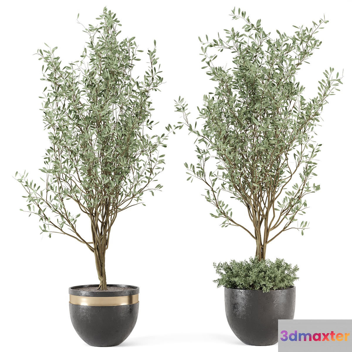 Outdoor bush and Tree in rusty Concrete Pot - Set 204