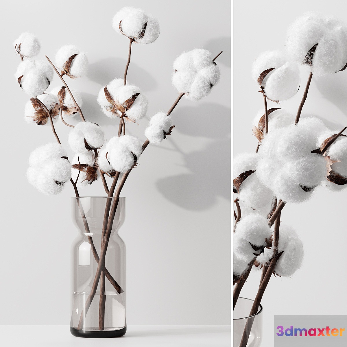 Cotton