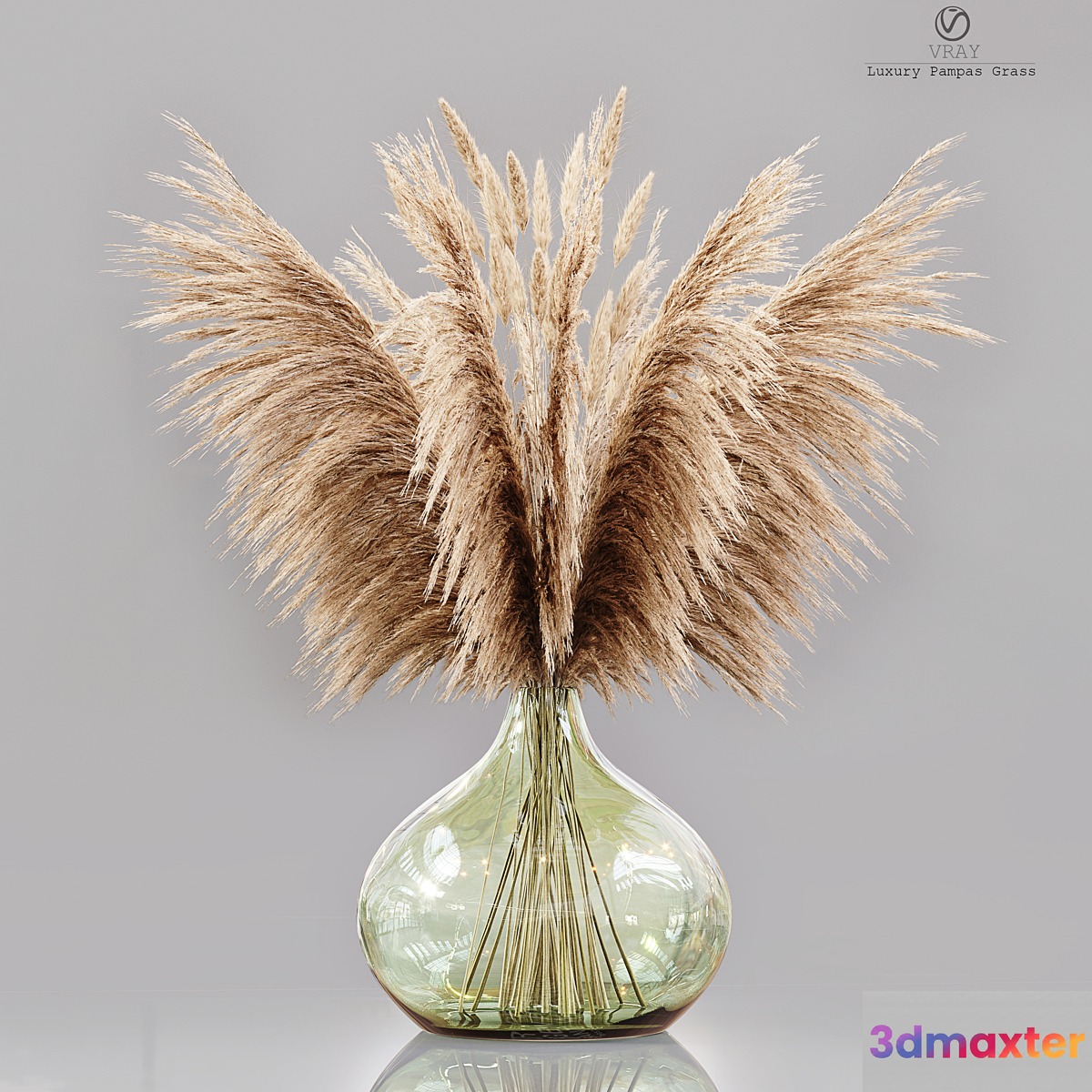 Luxury pampas grass 3D Max