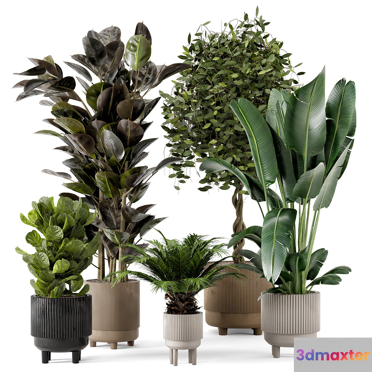 Indoor Plants in Standing Legs Small Bowl Concrete Pot - Set 212