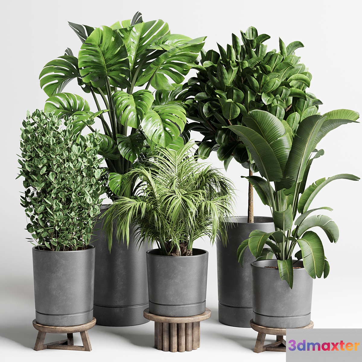 collection Indoor plant 91 concrete vase pot palnt palm tree plant monstera 3D Max