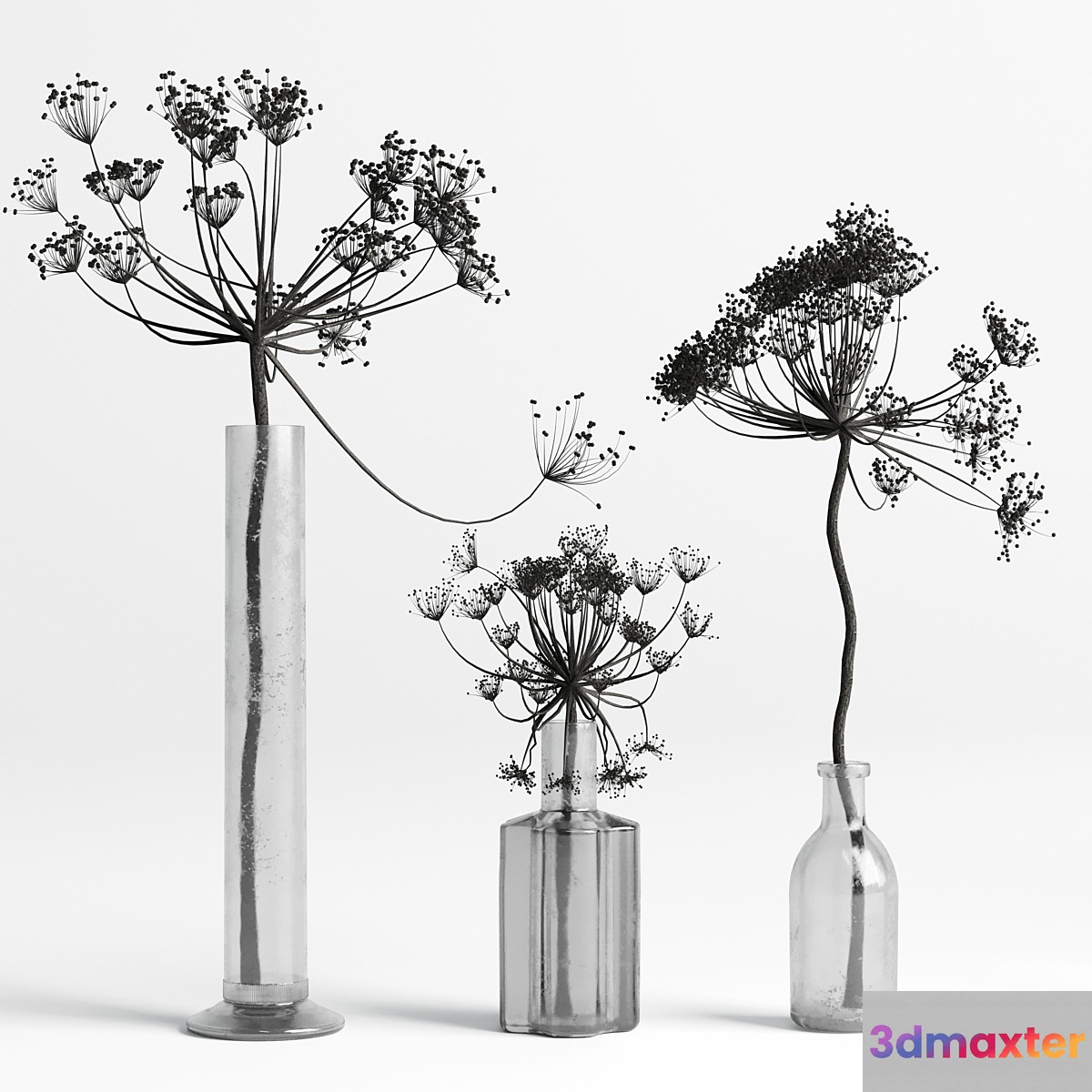Bouquet Set 01 Vase Glass Dry Hogweed