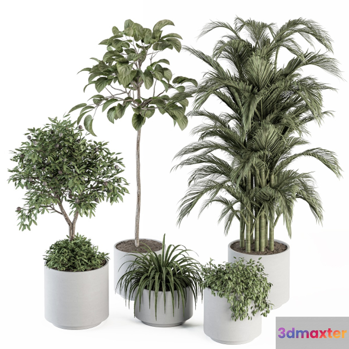 indoor Plant Set 257 - Plant Set in pot 3D Max