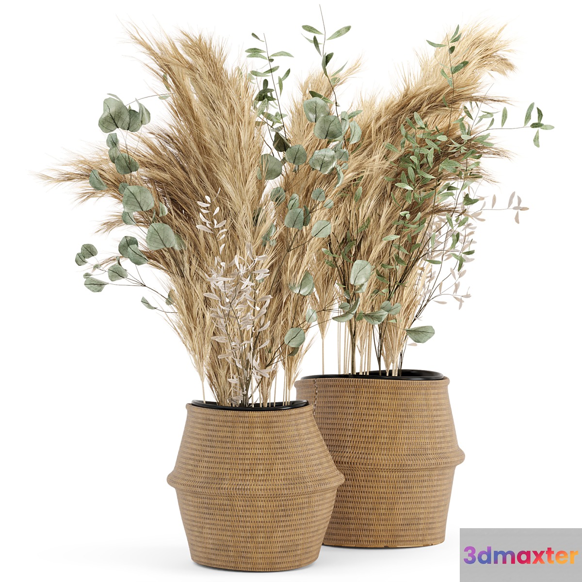 Dry plants 20 - Dried Plantset Pampas set with Wicker Basket