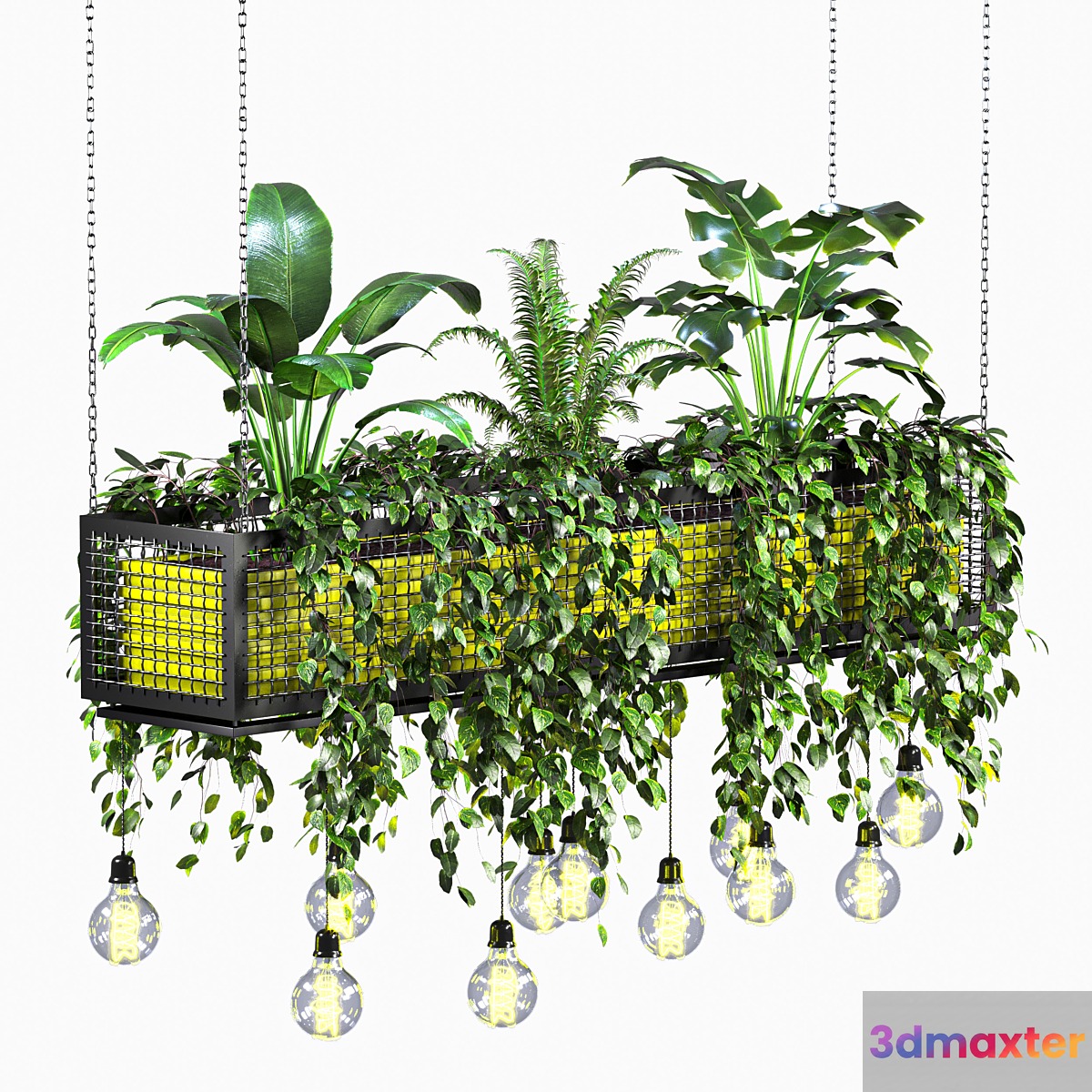 hanging plant 01 3D Max