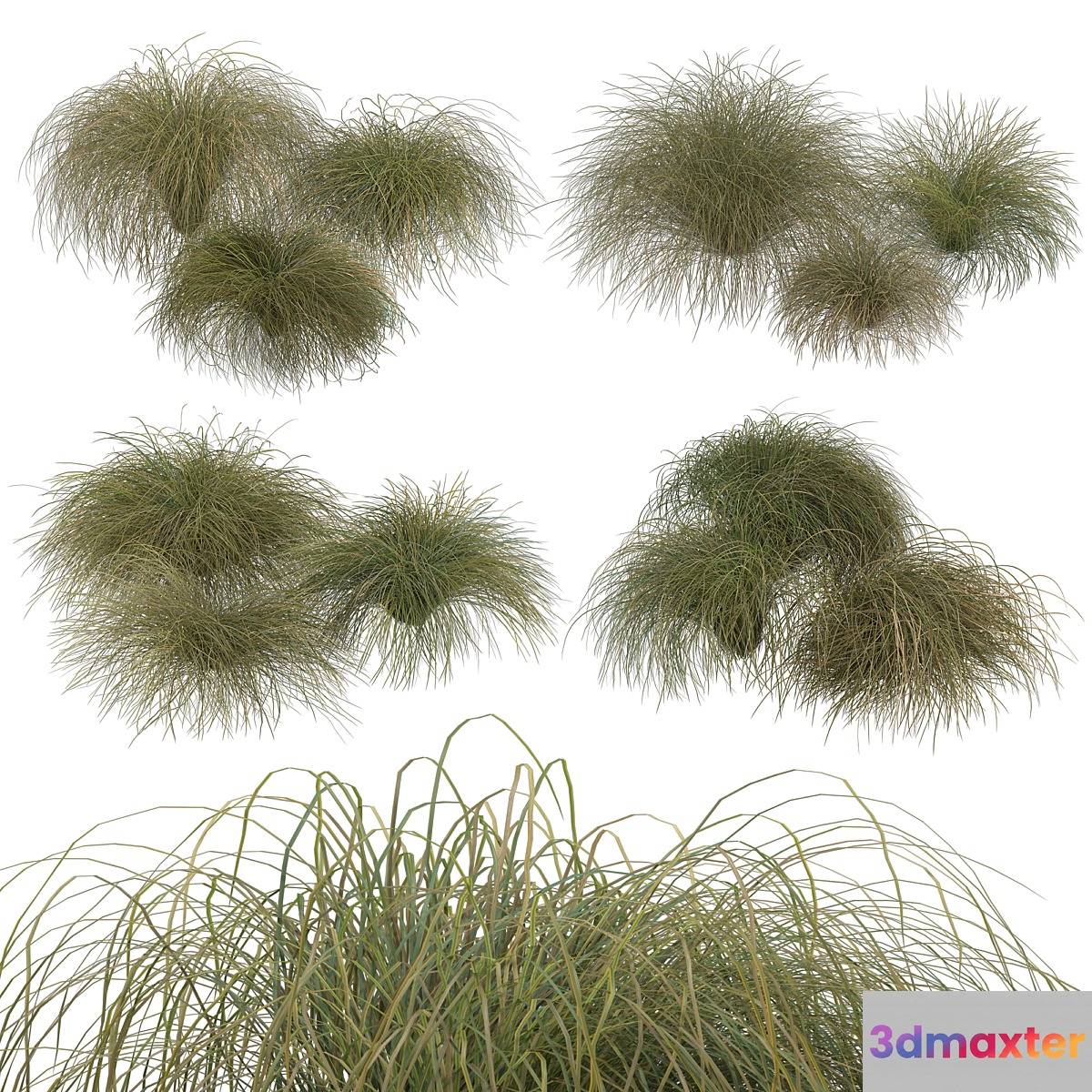 HairSedge