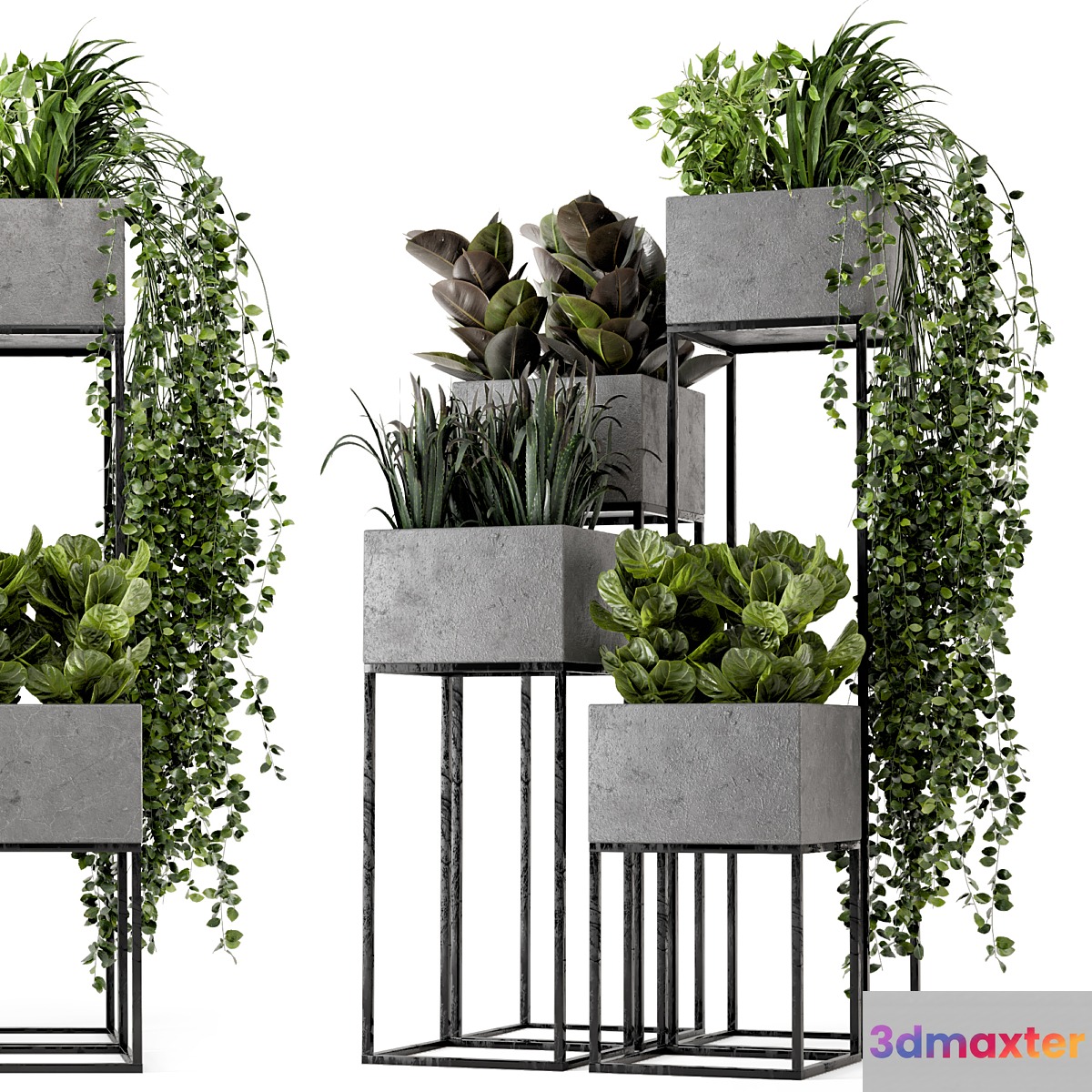 Indoor Plants in rusty Concrete Pot on Metal Shelf - Set 221