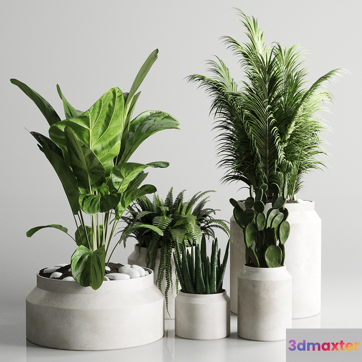 Collection indoor plant 96 pot plant palm fern cactus concrete vase
