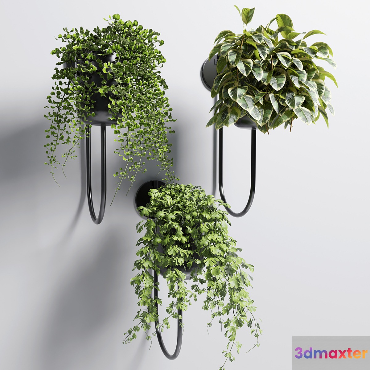 collection Indoor plant 101 vase metal stand wall plant