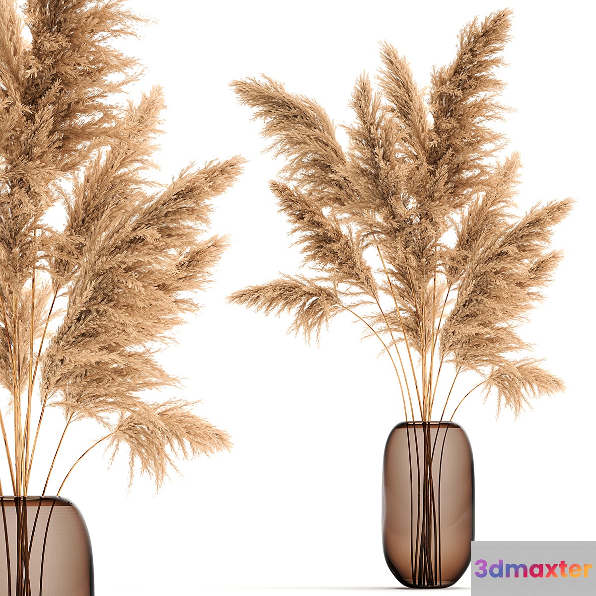A beautiful lush bouquet of dried flowers in a vase with dry branches of pampas Cortaderia reed. 140. 3D Max