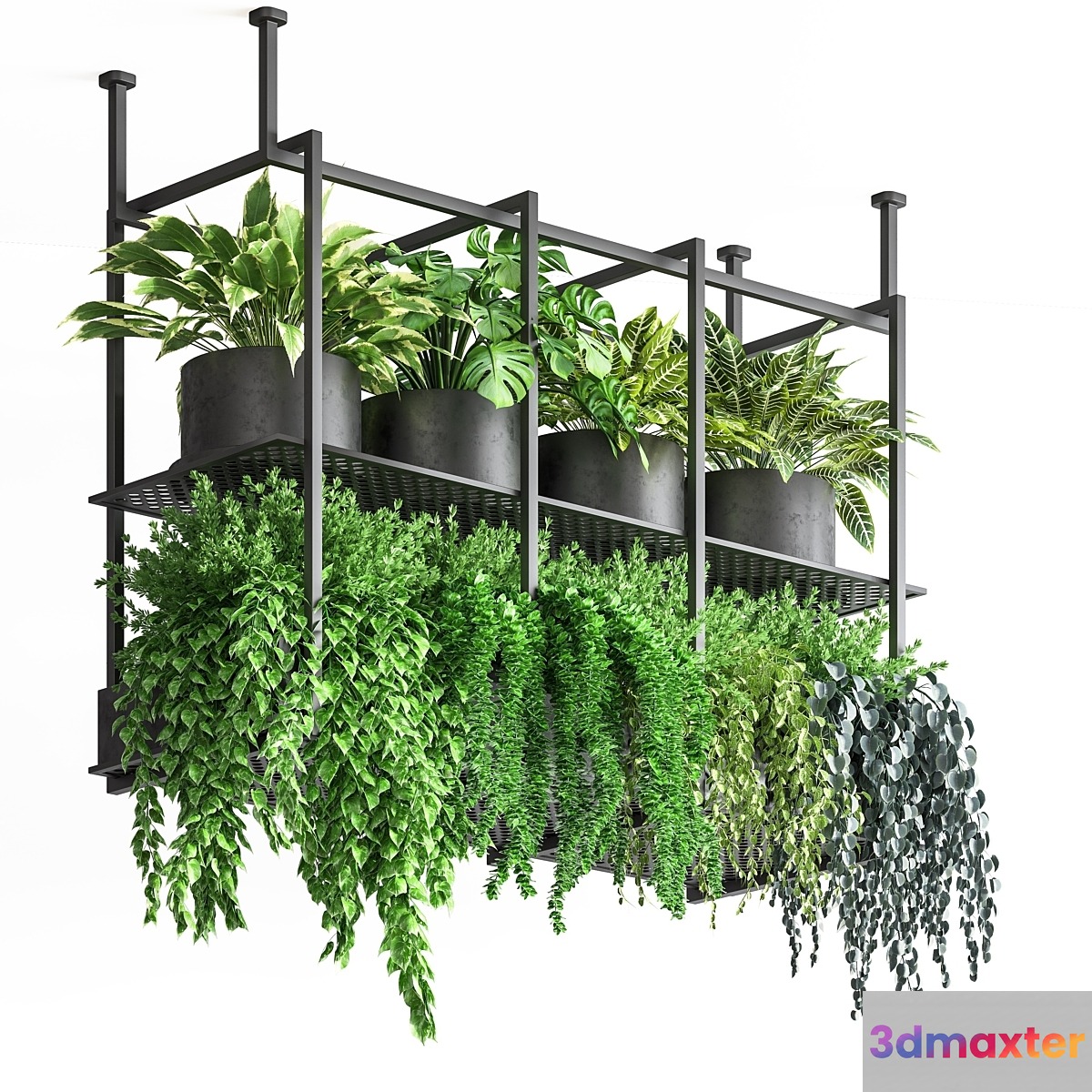 collection Indoor plants hanging pot metal 01