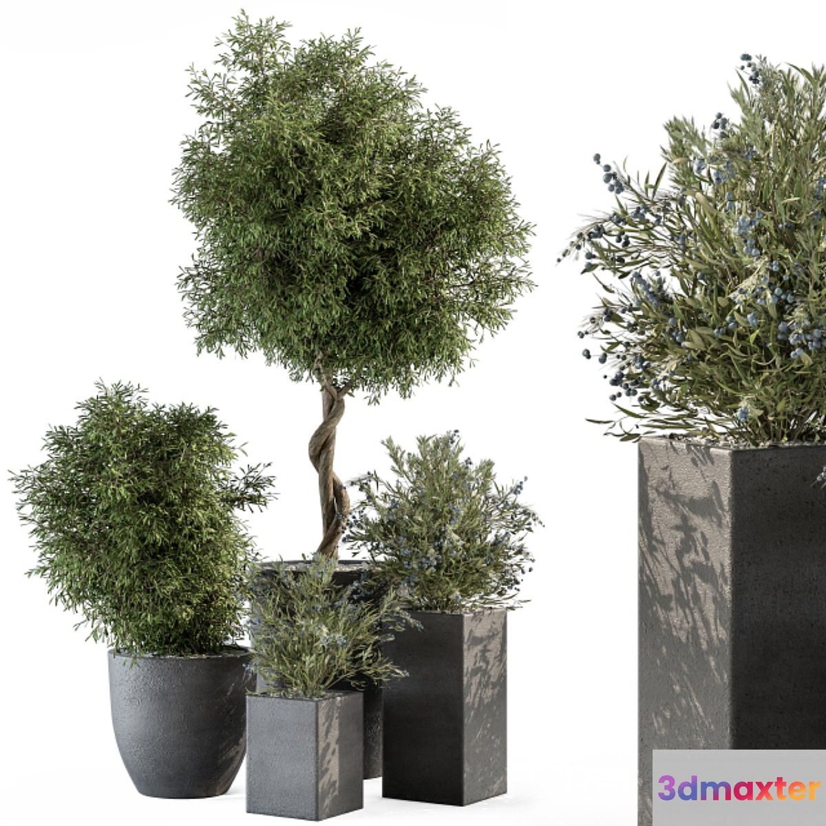 Outdoor Plant Set 273 - Plant Set in Concrete Pot - No.2 3D Max