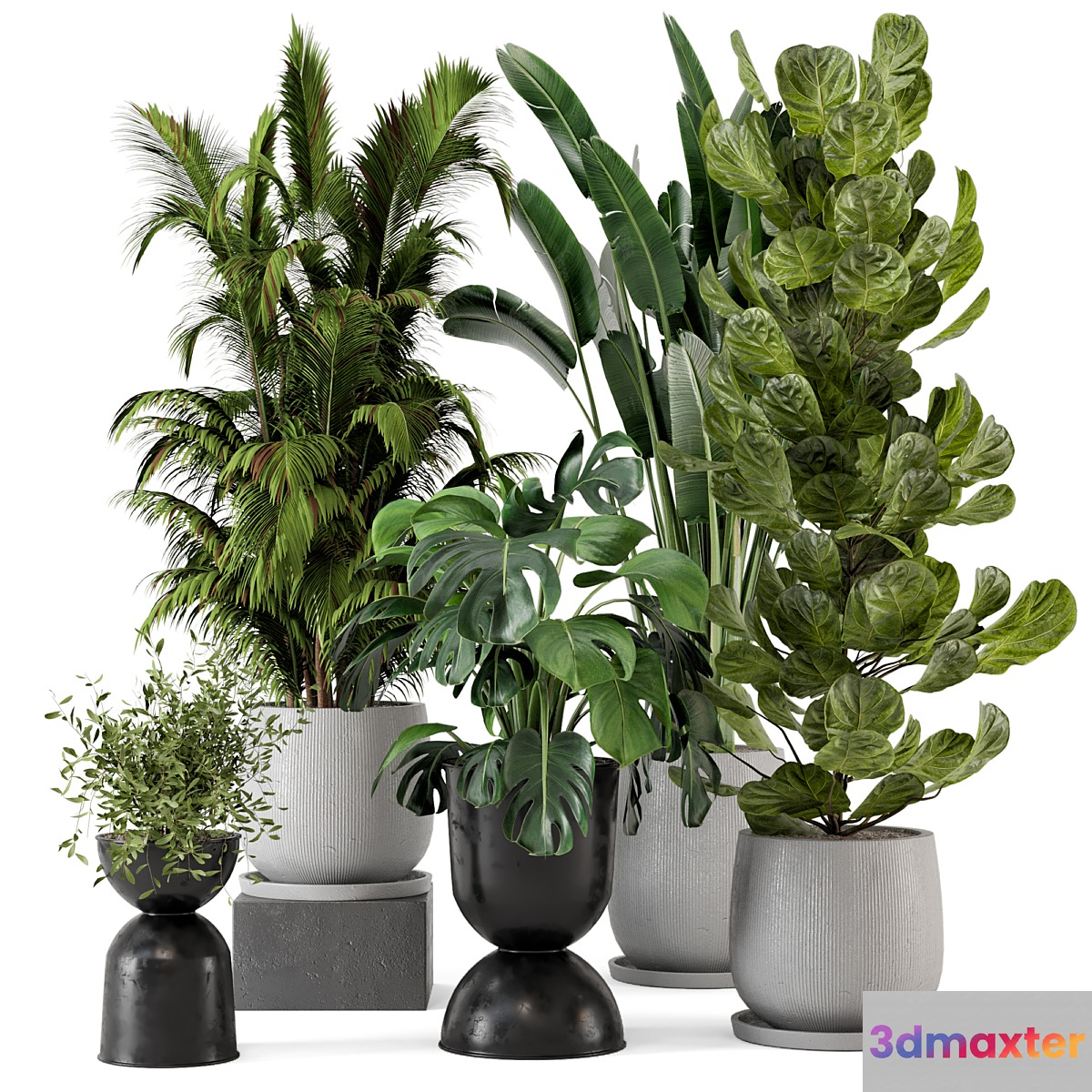Indoor Plants in Ferm Living Bau Pot Large - Set 230