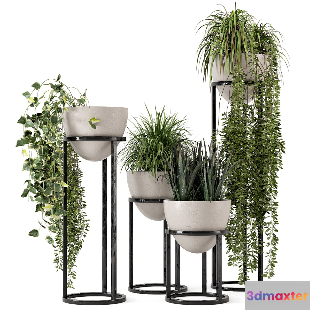 Indoor Plants in rusty Concrete Pot on Metal Shelf - Set 231