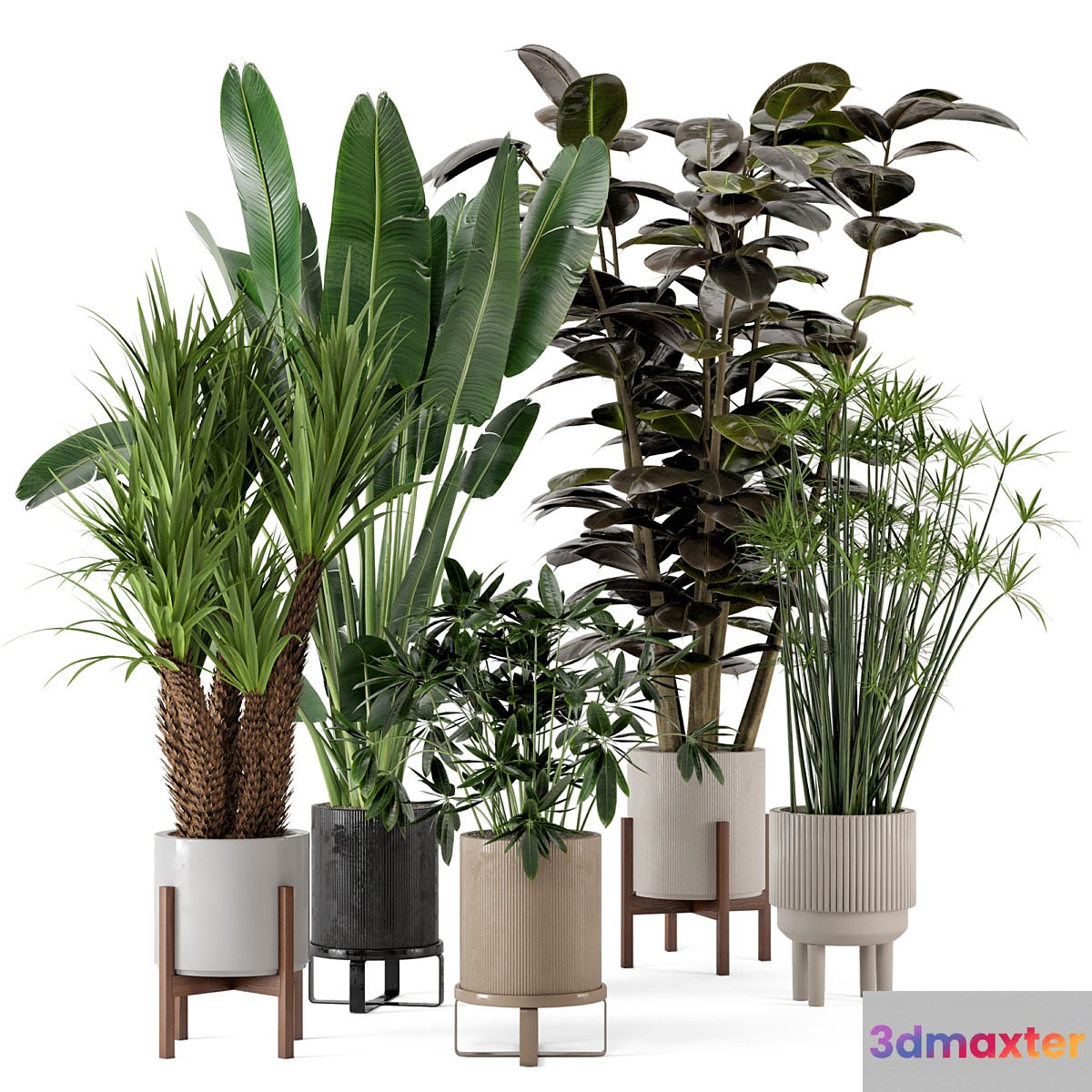 Indoor Plants in Ferm Living Bau Pot Large - Set 235 3D Max