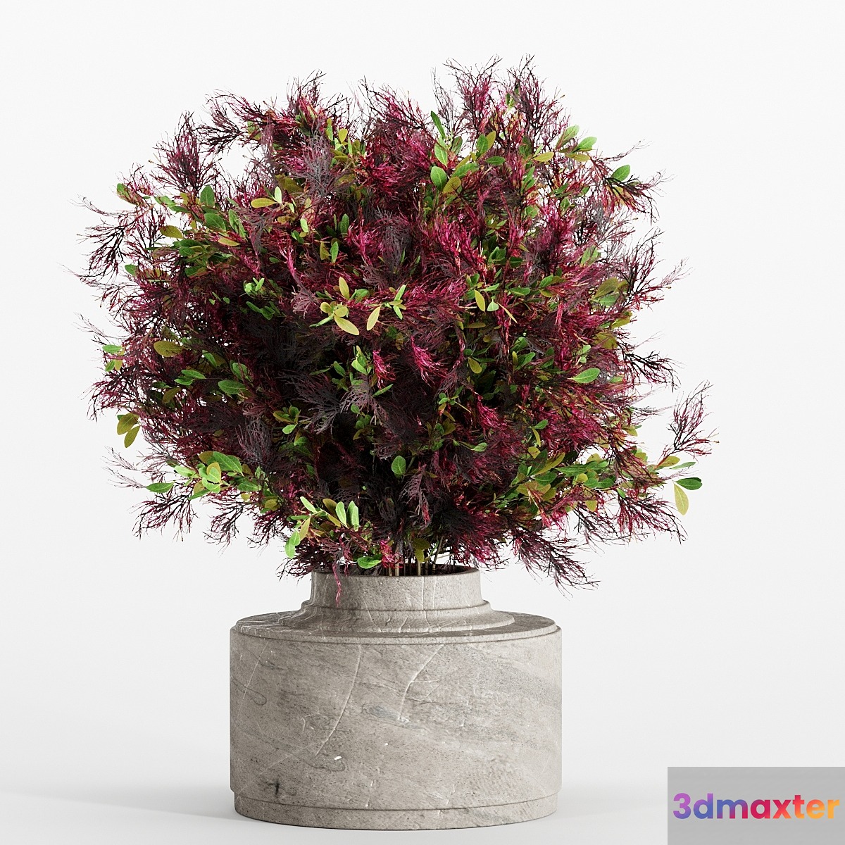 bouquet 7