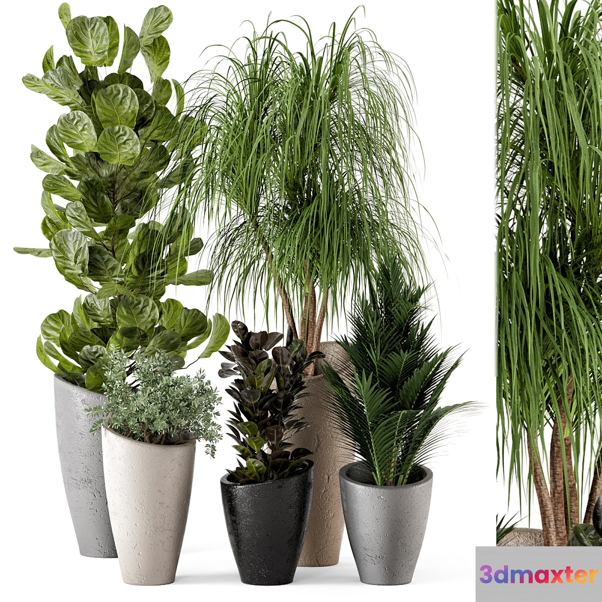 Indoor Plants in rusty Concrete Pot - Set 240 3D Max