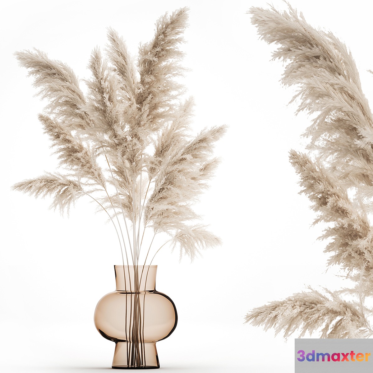 A beautiful lush bouquet of dried flowers in a vase with dry branches of pampas Cortaderia white reeds. 150.