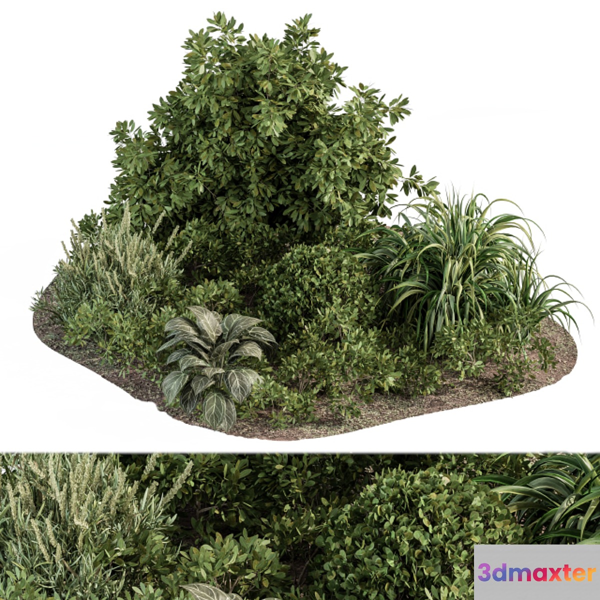 Garden set ivy and Bush - Garden Set 20