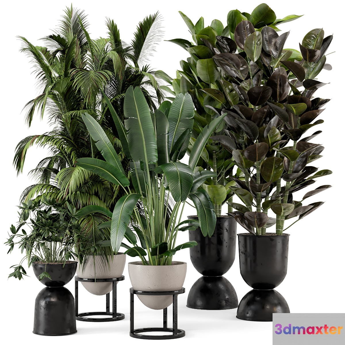 Indoor Plants in rusty Concrete Pot on Metal Shelf - Set 242