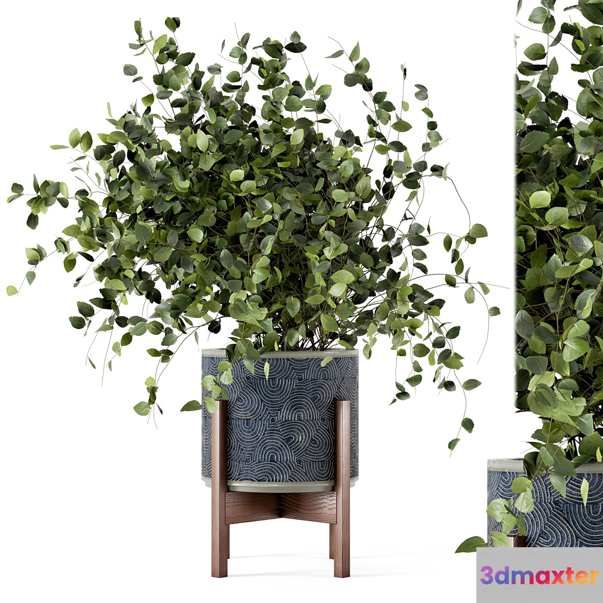 Indoor Plants in rusty Concrete Pot - Set 244 - No.3